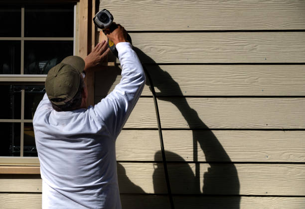 Best Fascia and Soffit Installation  in Fruitland, IA